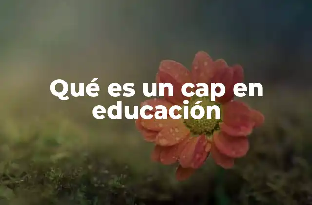 El papel del CAP en el sistema educativo
