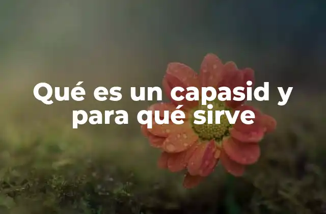 Qué es un Capasid y para Qué Sirve