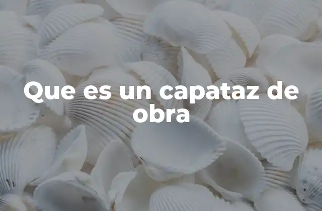 Que es un Capataz de Obra