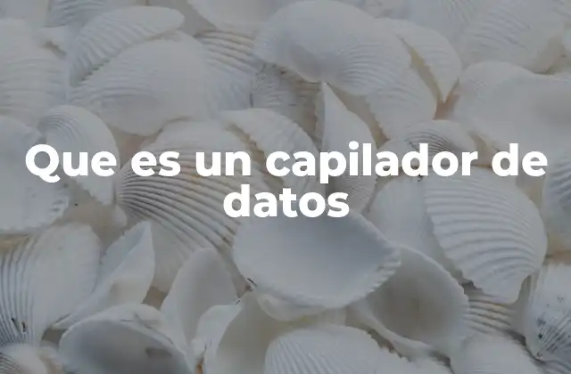 Que es un Capilador de Datos