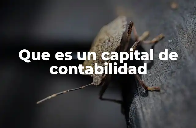 Que es un Capital de Contabilidad