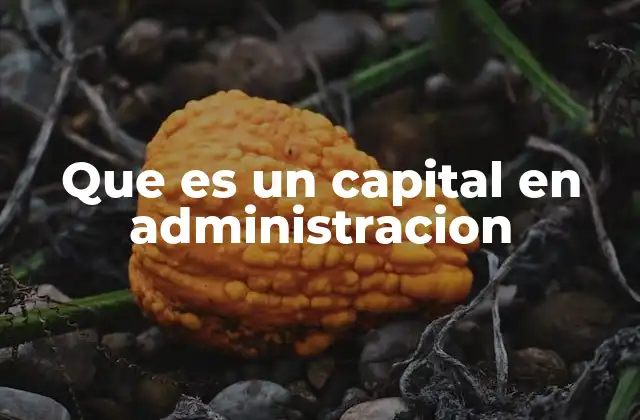 Que es un Capital en Administracion