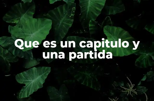 Que es un Capitulo y una Partida