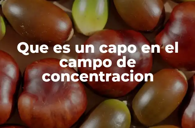 Que es un Capo en el Campo de Concentracion