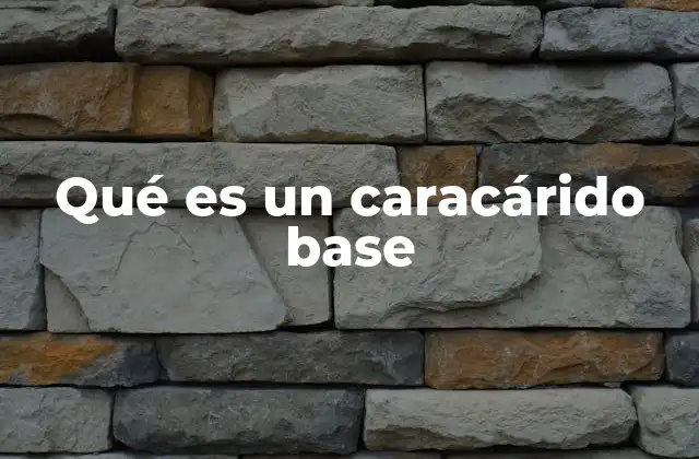 Qué es un Caracárido Base