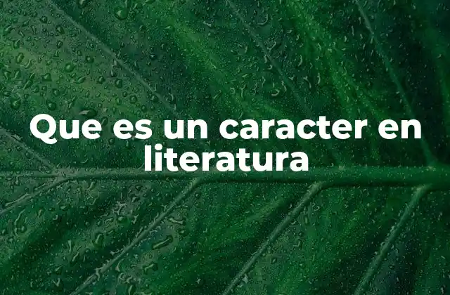 Que es un Caracter en Literatura