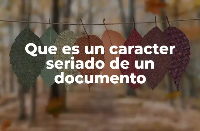 Que es un Caracter Seriado de un Documento