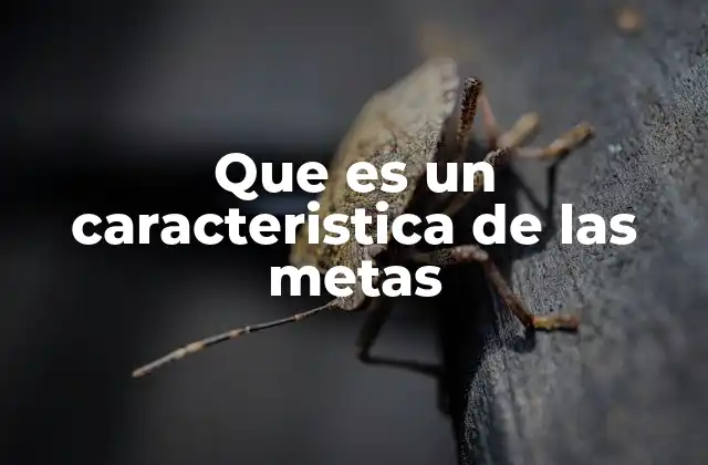 Que es un Caracteristica de las Metas