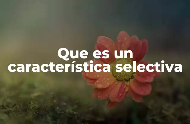 Que es un Característica Selectiva