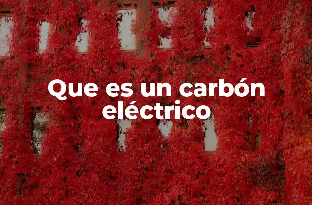 Que es un Carbón Eléctrico