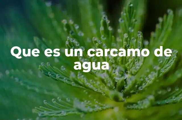 Que es un Carcamo de Agua