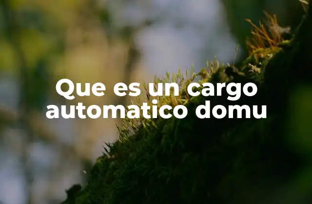 Que es un Cargo Automatico Domu