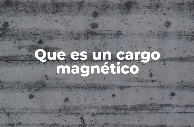 Que es un Cargo Magnético
