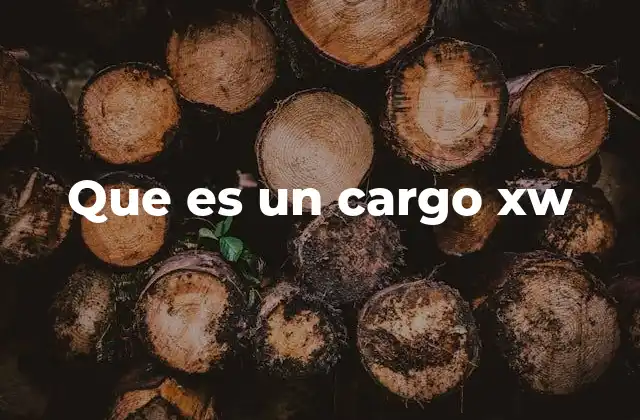 Cómo se usa el concepto de cargo XW en el mundo laboral