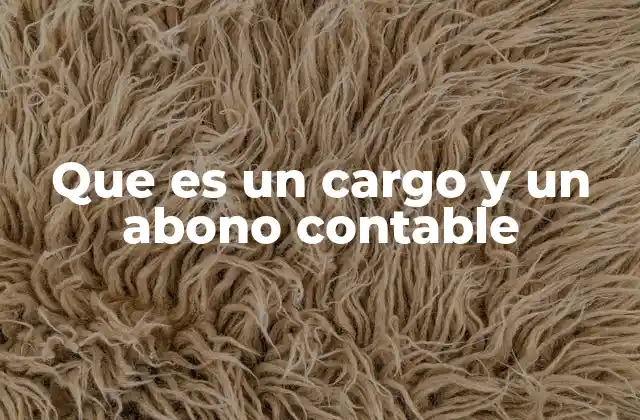 Que es un Cargo y un Abono Contable