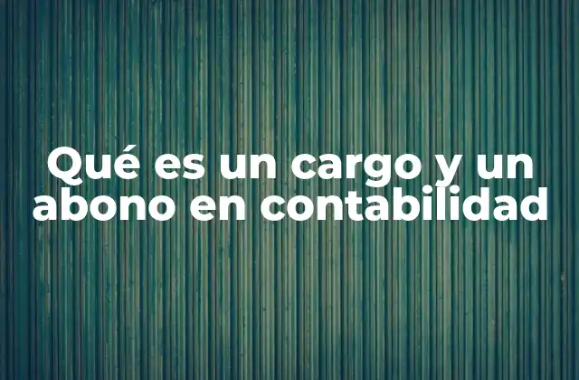 Qué es un Cargo y un Abono en Contabilidad