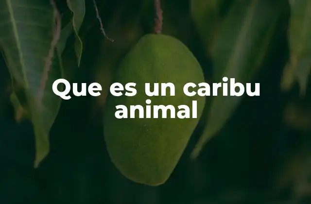 Que es un Caribu Animal