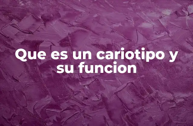 La importancia del estudio cromosómico en la medicina