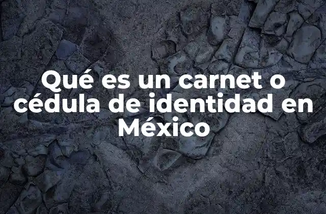 Qué es un Carnet o Cédula de Identidad en México