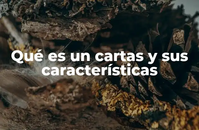 Qué es un Cartas y Sus Características