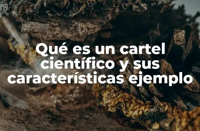 Qué es un Cartel Científico y Sus Características Ejemplo