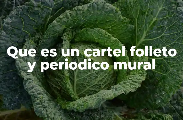 Que es un Cartel Folleto y Periodico Mural