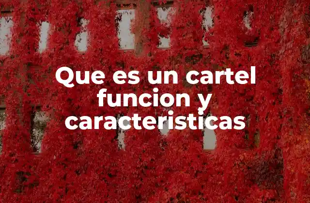 Que es un Cartel Funcion y Caracteristicas