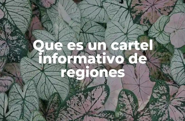 Que es un Cartel Informativo de Regiones