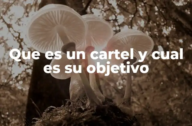 Que es un Cartel y Cual es Su Objetivo