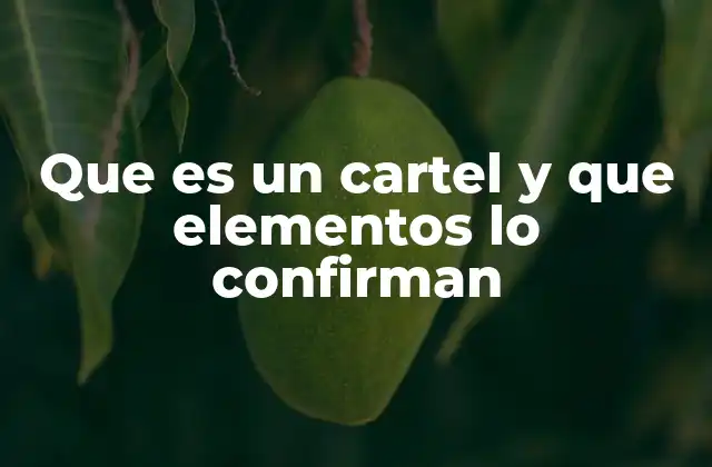 Que es un Cartel y que Elementos Lo Confirman