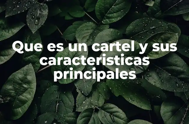 Que es un Cartel y Sus Caracteristicas Principales