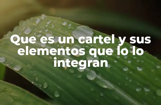 Que es un Cartel y Sus Elementos que Lo Lo Integran