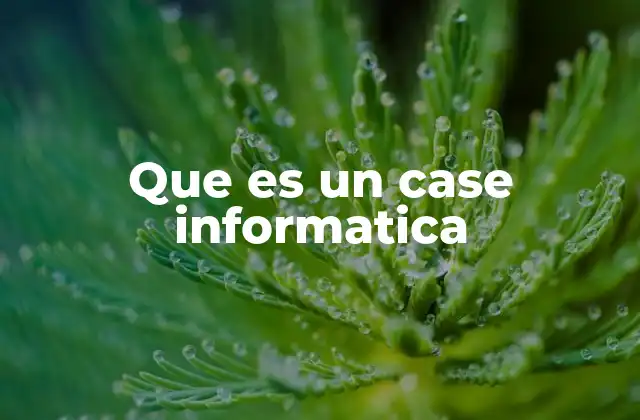 Que es un Case Informatica