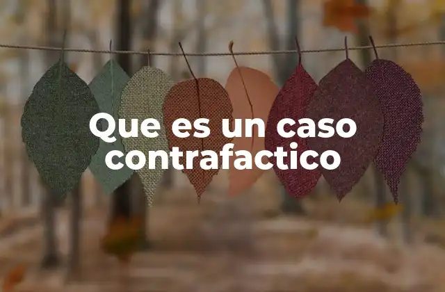 Que es un Caso Contrafactico
