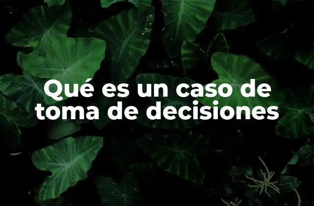 Qué es un Caso de Toma de Decisiones