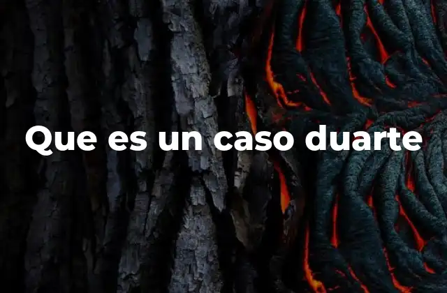 Que es un Caso Duarte