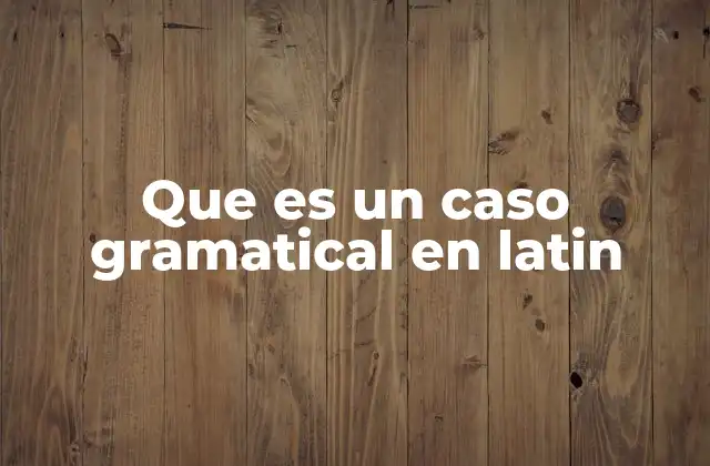 Que es un Caso Gramatical en Latin