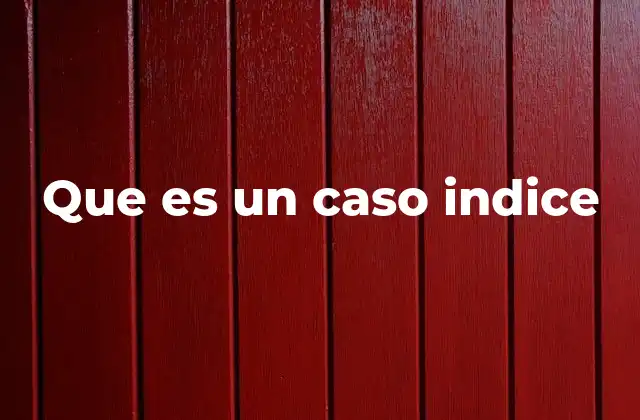 Que es un Caso Indice