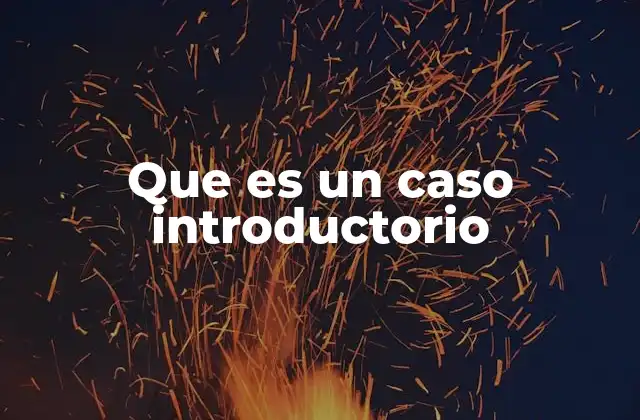 Que es un Caso Introductorio
