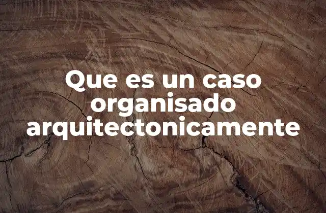 Que es un Caso Organisado Arquitectonicamente
