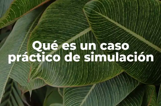 Qué es un Caso Práctico de Simulación