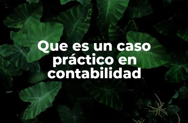 Que es un Caso Práctico en Contabilidad