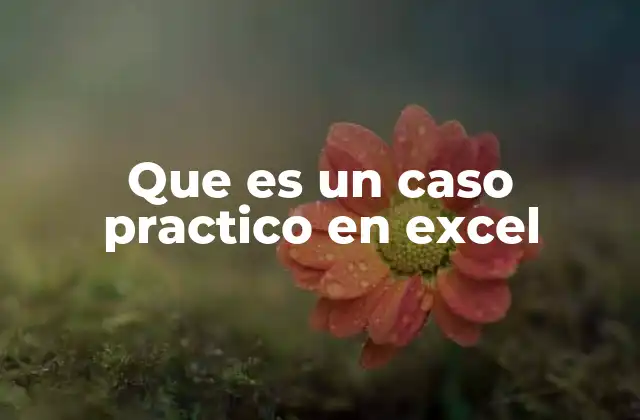 Que es un Caso Practico en Excel