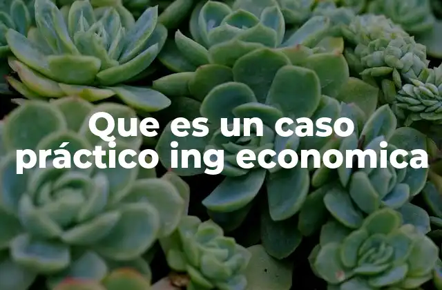 Que es un Caso Práctico Ing Economica 2 La importancia de los casos prácticos en la formación de ingenieros