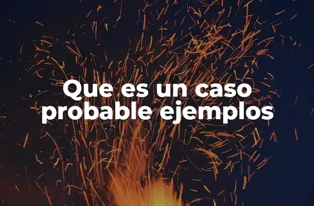 Que es un Caso Probable Ejemplos