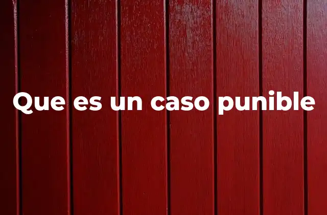 Que es un Caso Punible