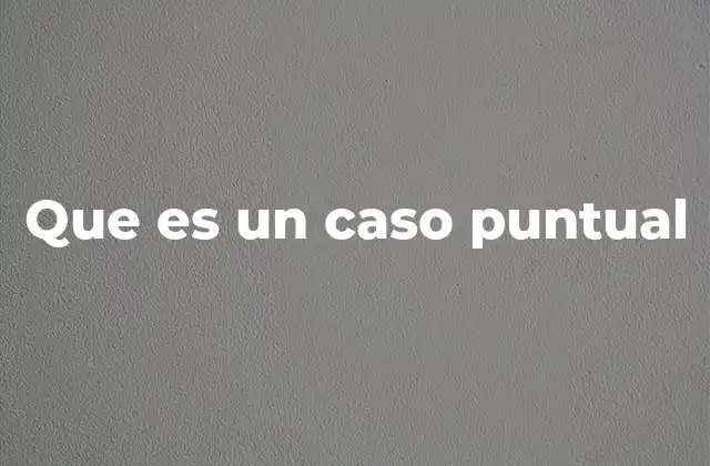 Que es un Caso Puntual