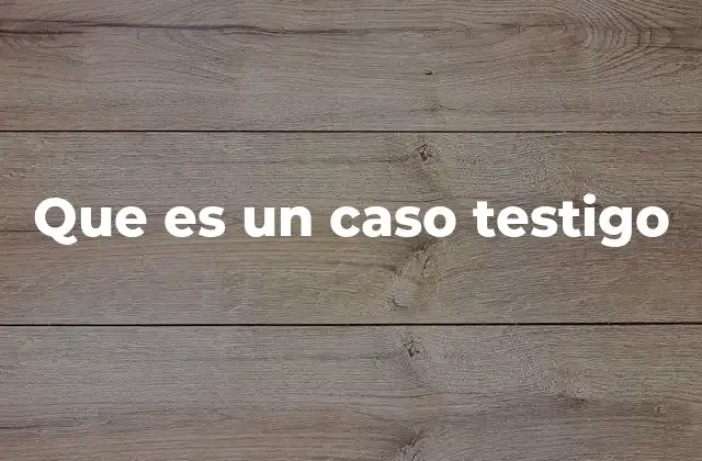Que es un Caso Testigo 2 La importancia de los escenarios controlados en la toma de decisiones