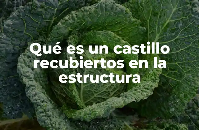 Qué es un Castillo Recubiertos en la Estructura