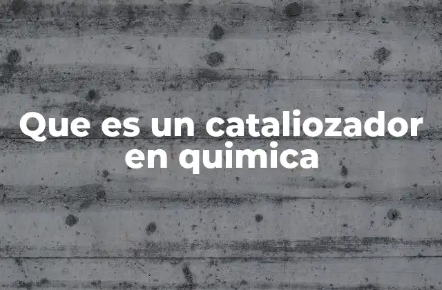 Que es un Cataliozador en Quimica